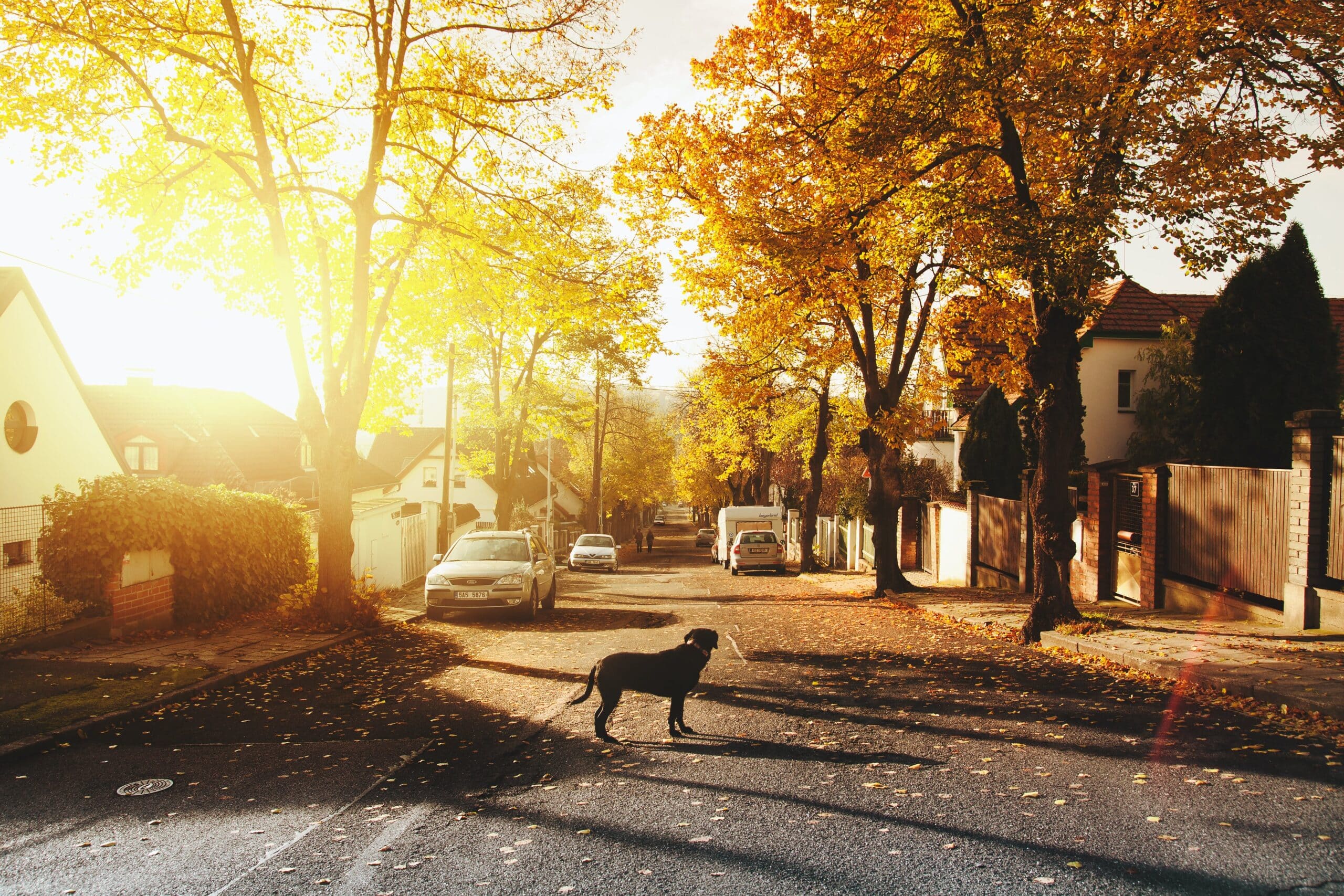 The Charm City Difference: What Sets Charm City Builders Apart in Maryland