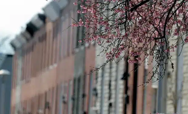 Your Essential Spring Home Maintenance Checklist
